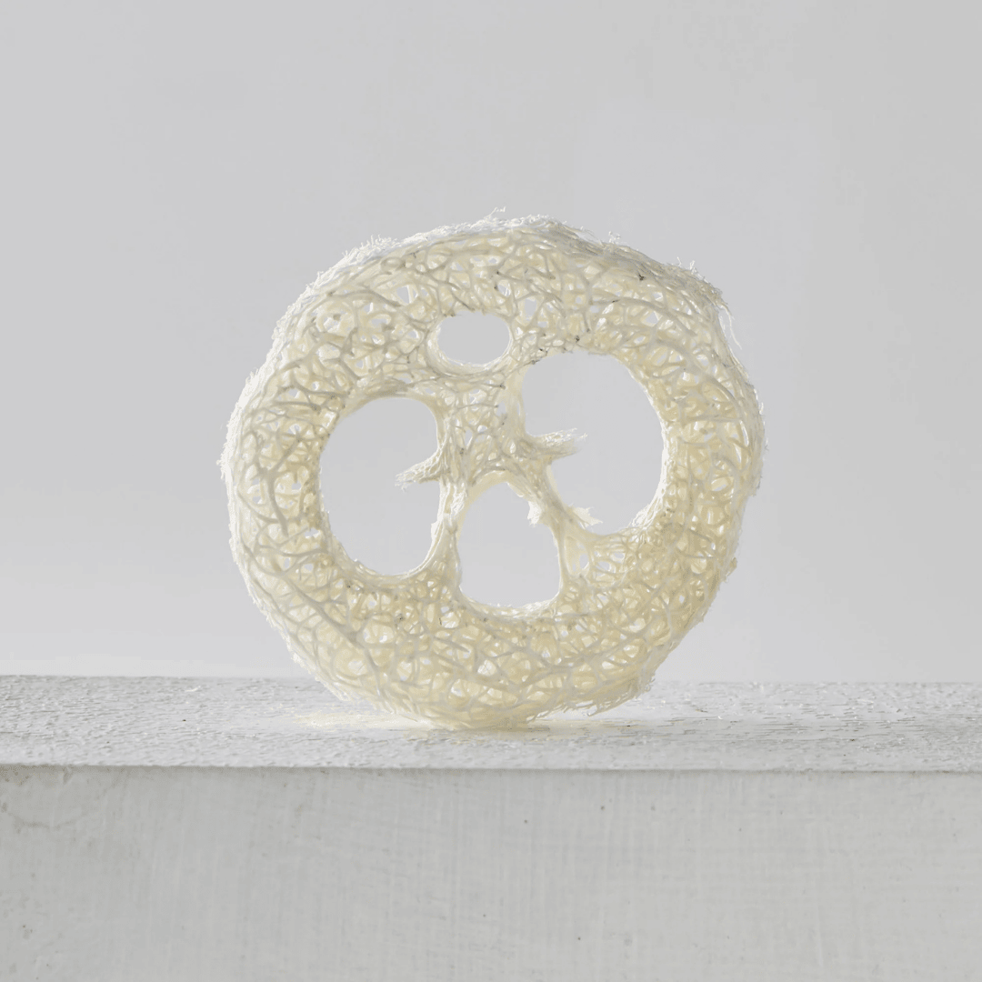 Kystnær sæbeholder i loofah