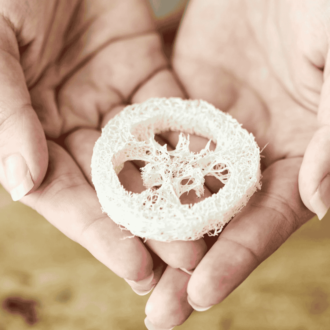 Loofah Sæbeholder fra Kystnær