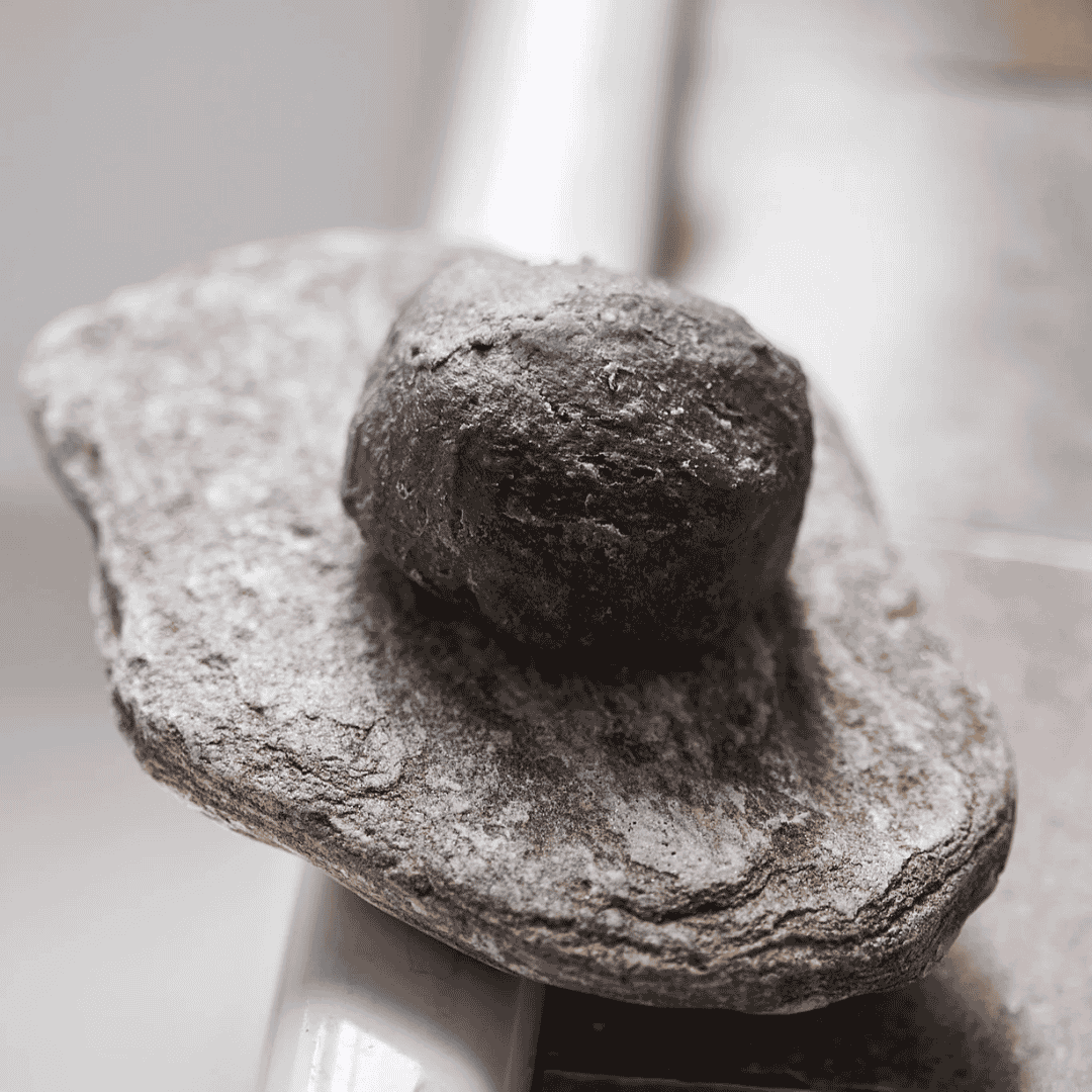 Kystnær shampoo bar med aktivt kul